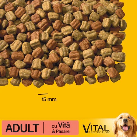 Pedigree Vital Protection Adult Dry Dog Food, Beef & Poultry 15Kg